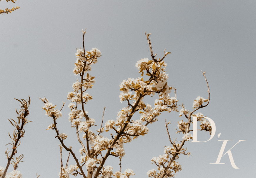 Te ofrecemos una psicoterapia práctica y personalizada.